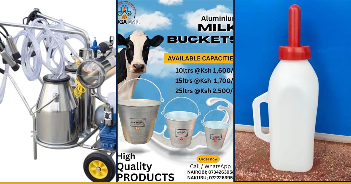 Milking machines, milking buckets and calf bottles for dairy processing
