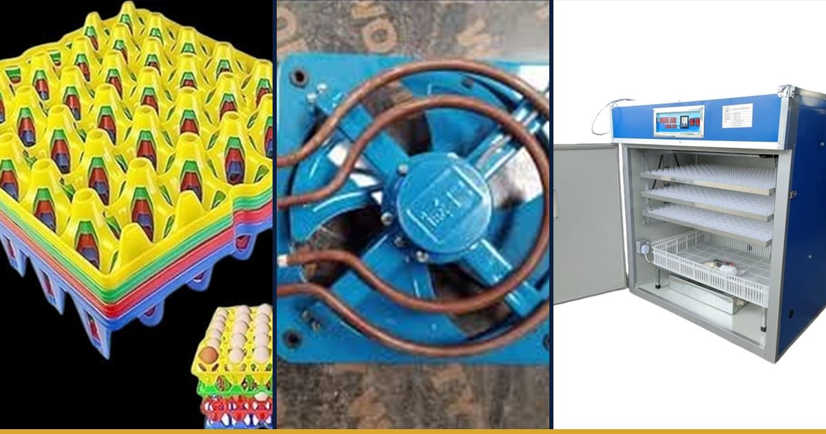 Egg trays, incubator spare parts and commercial incubators for setting and hatching