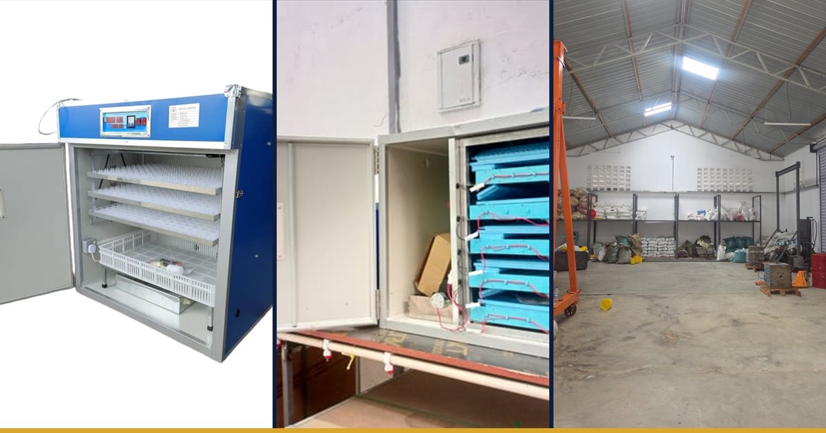 Commercial egg incubators in a range of capacities stocked at Fuga Equipment