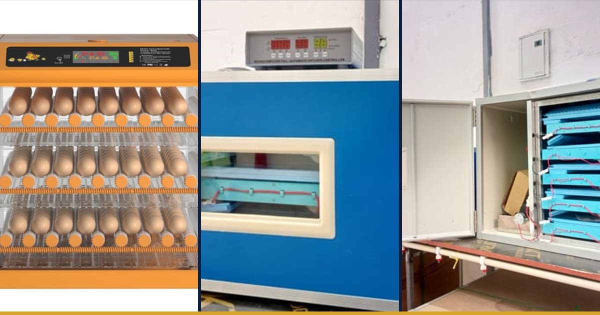 192 egg, 210 egg AC DC and 350 egg incubators stocked by Fuga Equipment