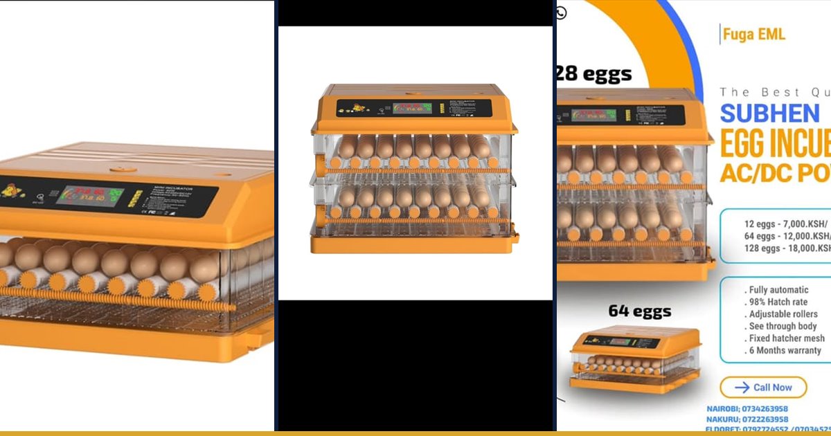 64 egg, 128 egg and Subhen automatic egg incubators stocked by Fuga Equipment