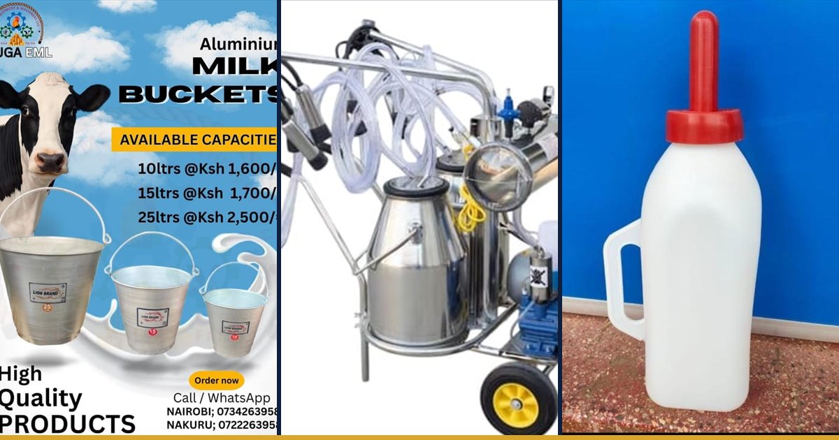 Milking buckets, milking machines and calf bottles for clean milk handling