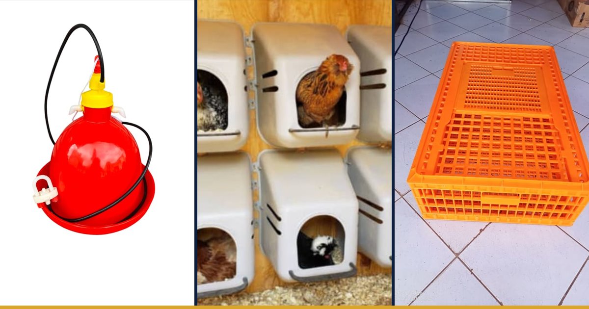 Automatic drinkers, laying nests and transportation crates for a poultry house