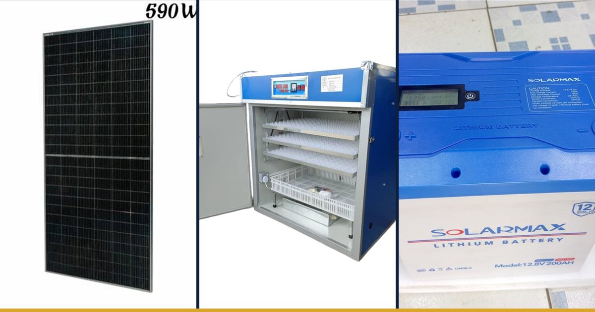 Solar panel, egg incubators and lithium battery for backup incubation power