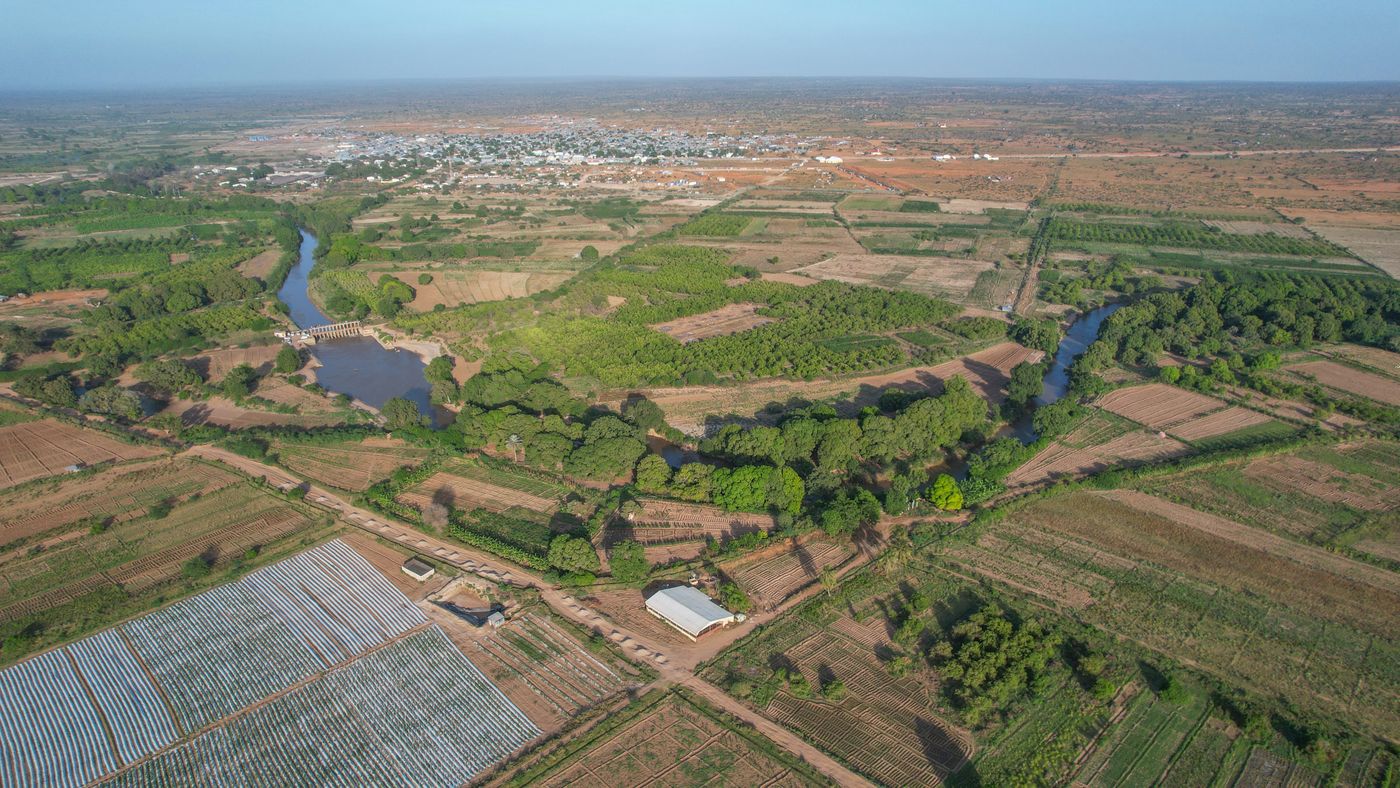 Aerial view of a river with a small weir winding through green irrigated tree plots and ridged, furrowed fields, with a town and dry red plains beyond, in Balcad, Somalia