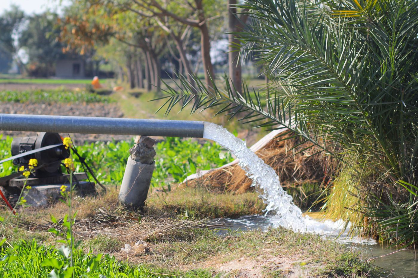 Borehole delivery pipe discharging clear water into a lined channel beside a green irrigated field, with the pump set visible on its concrete plinth