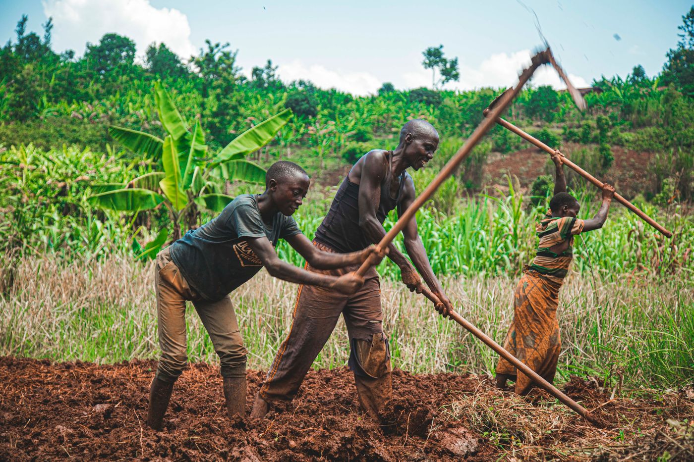 Three Kenyan farmers turning rich soil by hand in a green field with banana and maize behind them, the customers whose season depends on equipment that keeps working