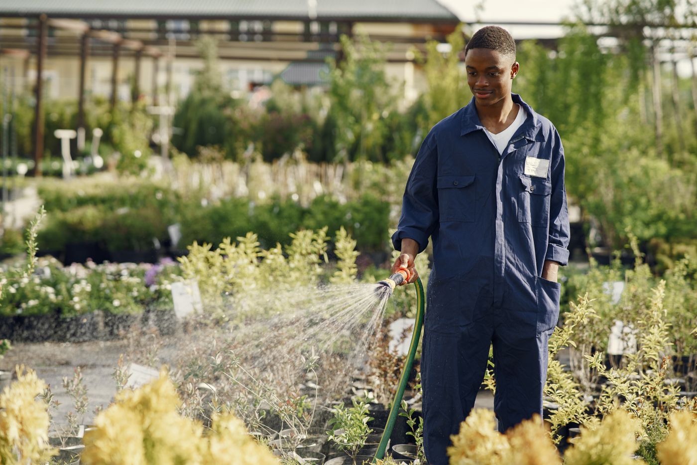 Young man in navy blue overalls watering rows of potted plants in an outdoor plant nursery with a green hose and spray nozzle