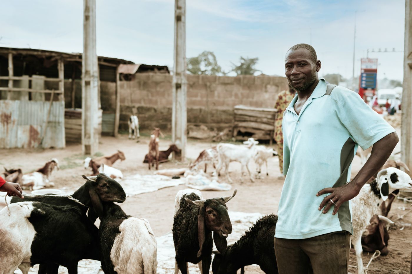 An African goat seller in a light blue shirt standing with his hand on his hip among black, white and brown goats at an open livestock market yard