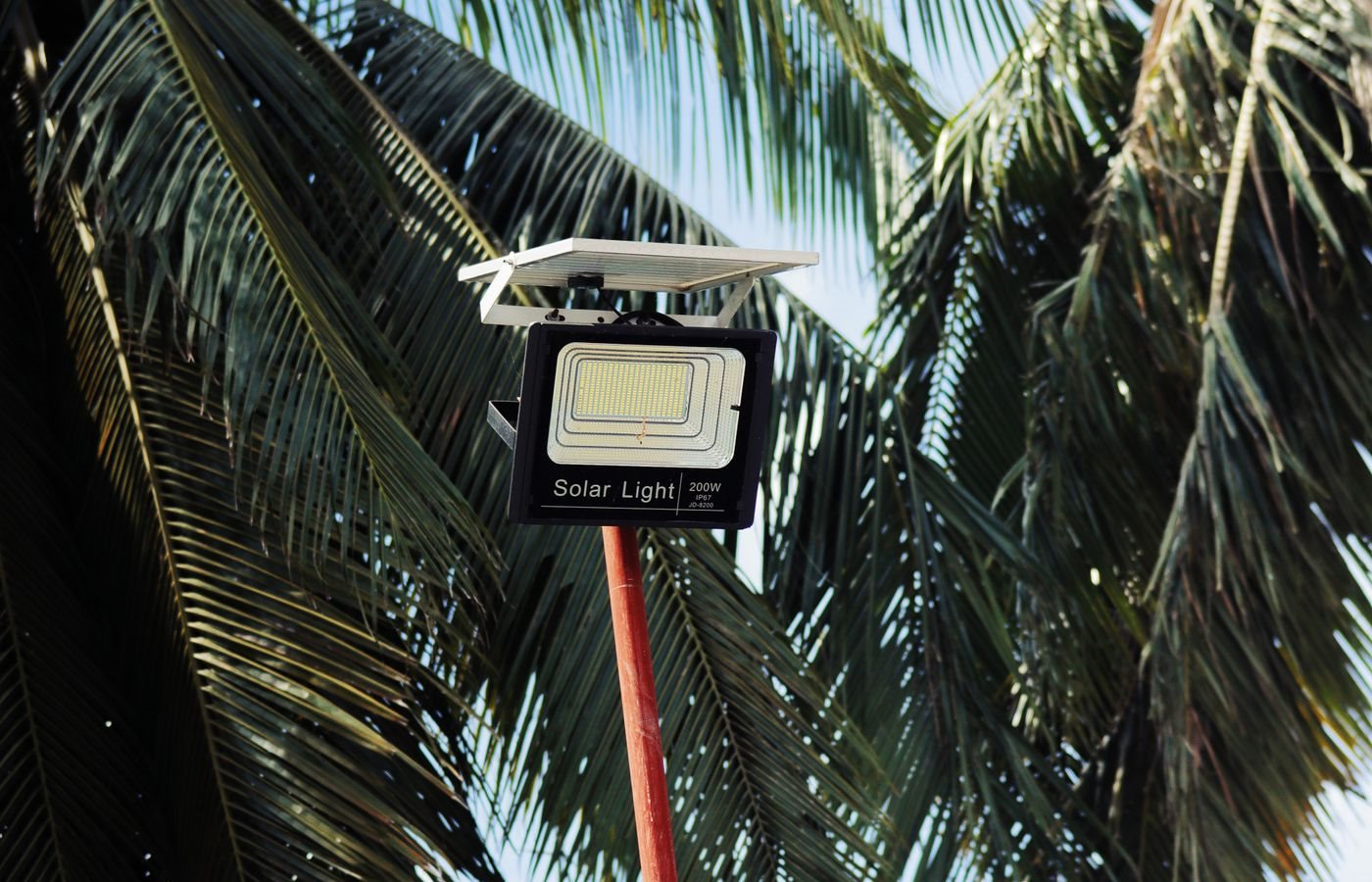 Pole-mounted solar flood light with its solar panel angled above the lamp head, photographed in daylight against palm fronds