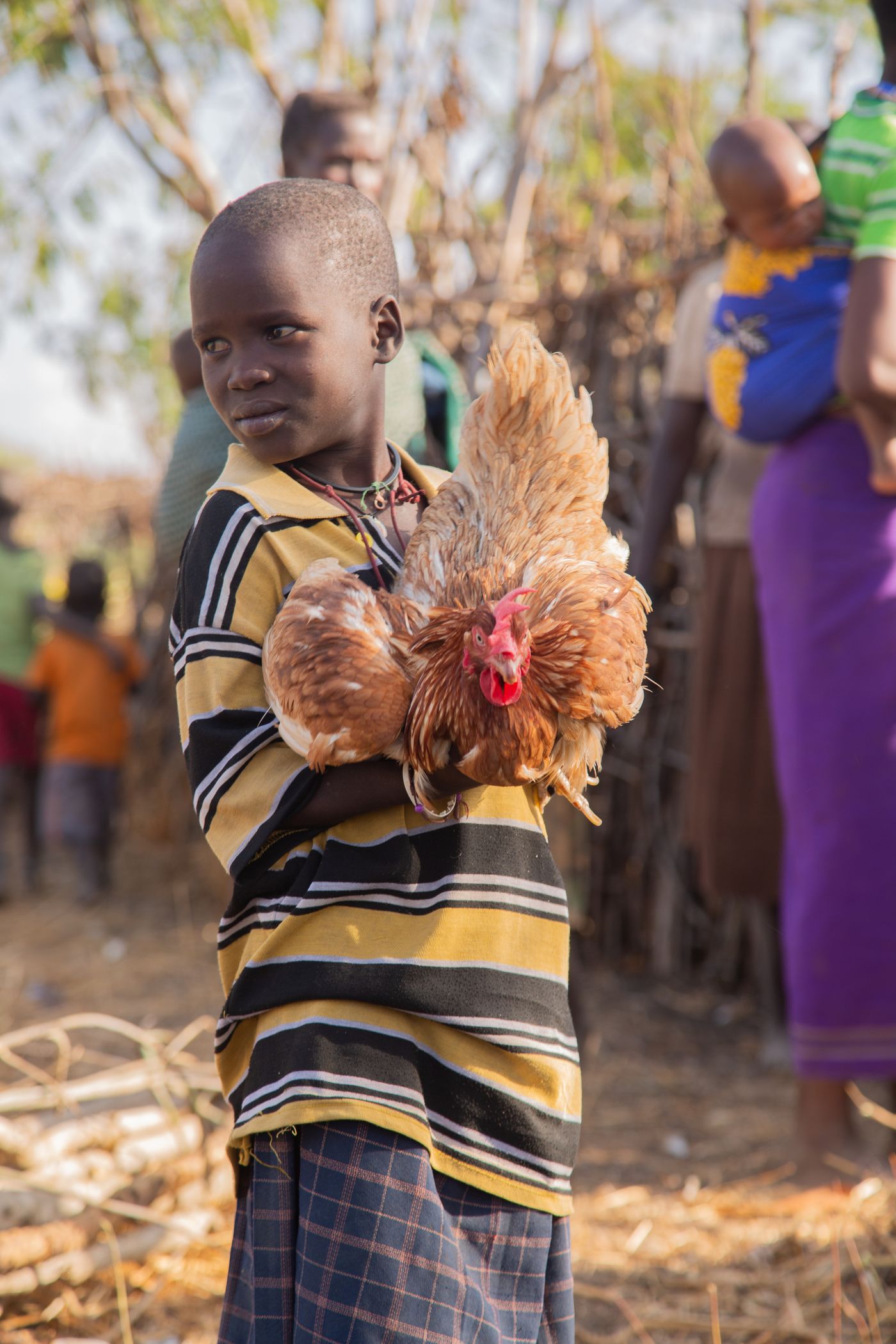 Young boy in a striped shirt holding a brown hen in a rural African homestead, with family members behind him