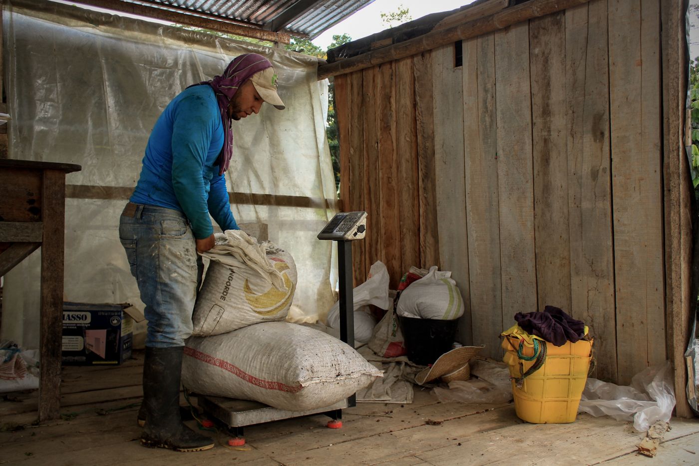 Farmer stacking woven sacks of produce onto a digital platform weighing scale inside a timber farm store