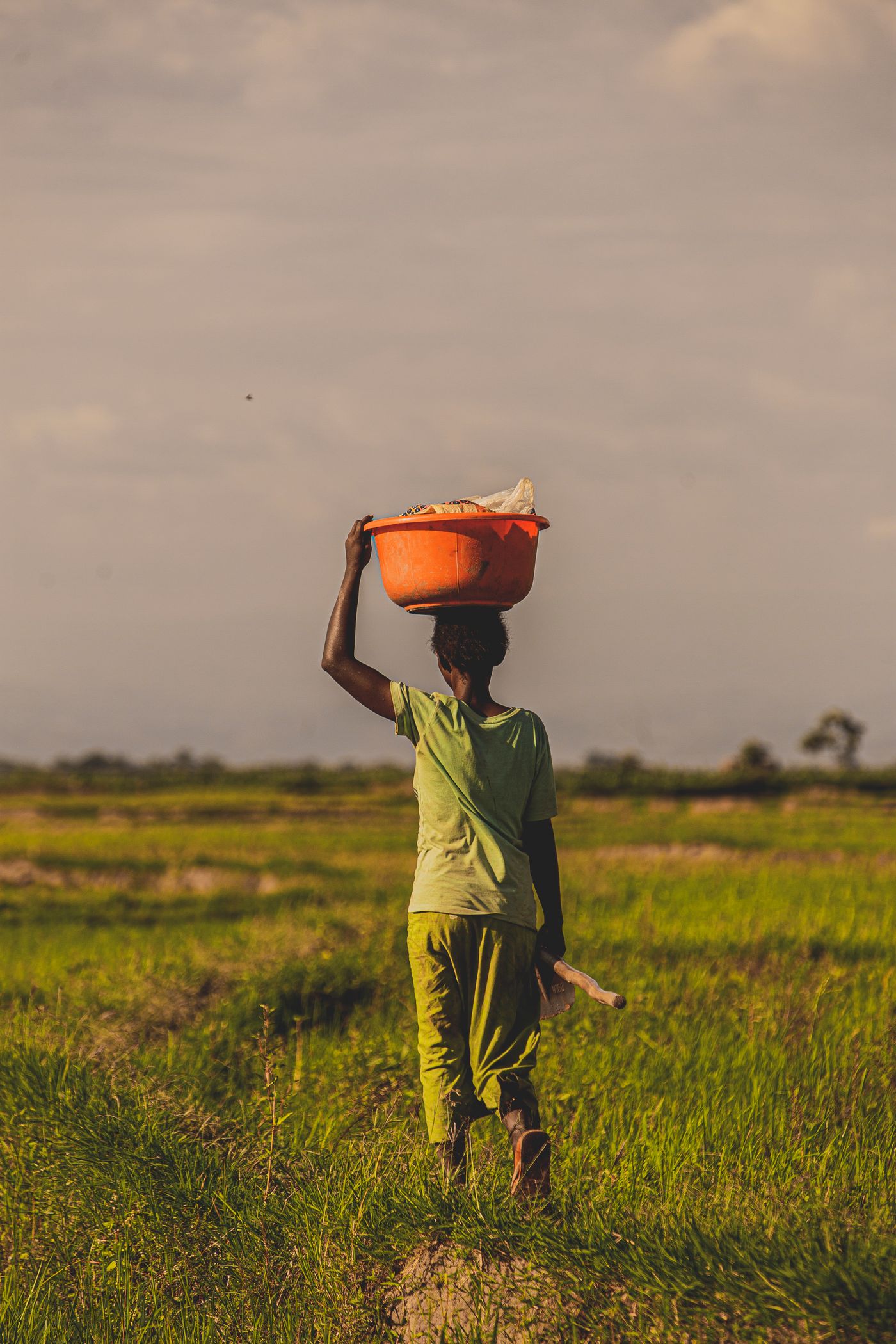An African woman seen from behind walking through a green field with an orange basin balanced on her head and a hoe in her hand, under a cloudy sky