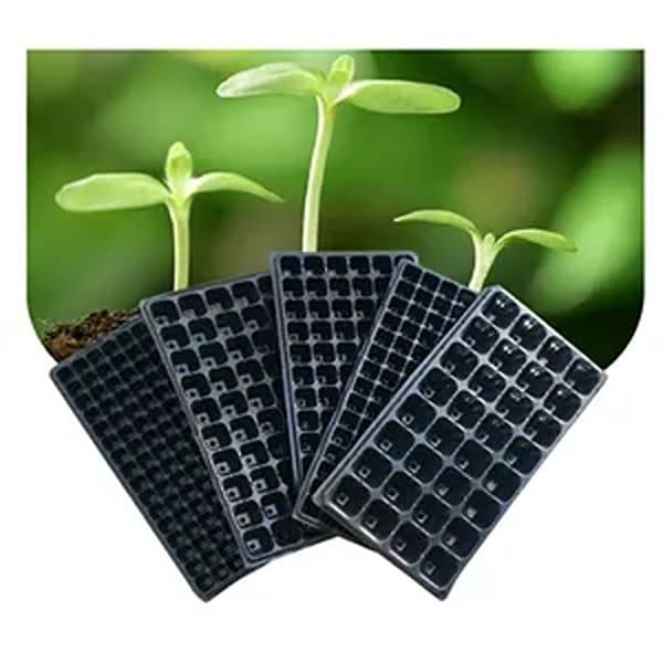 Planting Tray price in Kenya