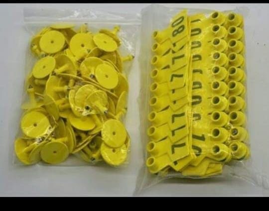 Ear Tag price in Kenya