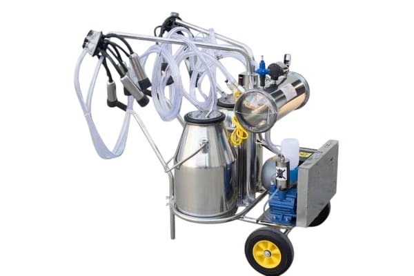 Best milking equipment for Kenyan dairy farms