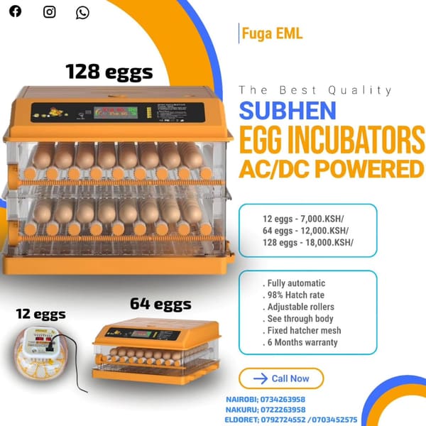 Subhen Automatic Incubators price in Kenya