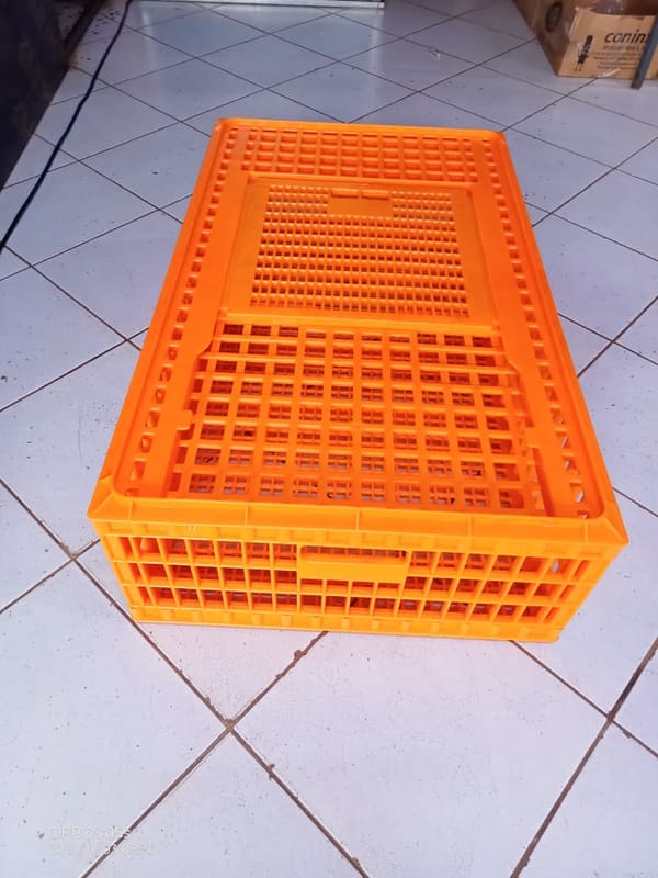 Transportation Crates price in Kenya